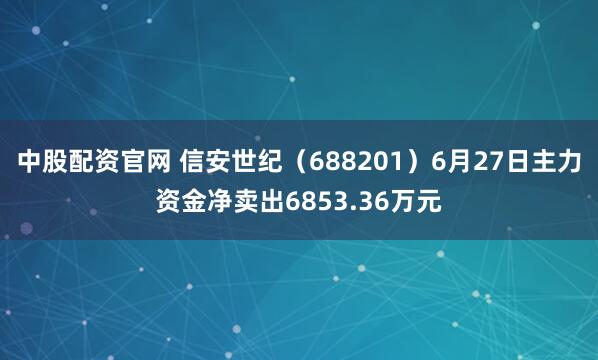 中股配资官网 信安世纪(688201)6月27日主力资金净卖出6853.36万元