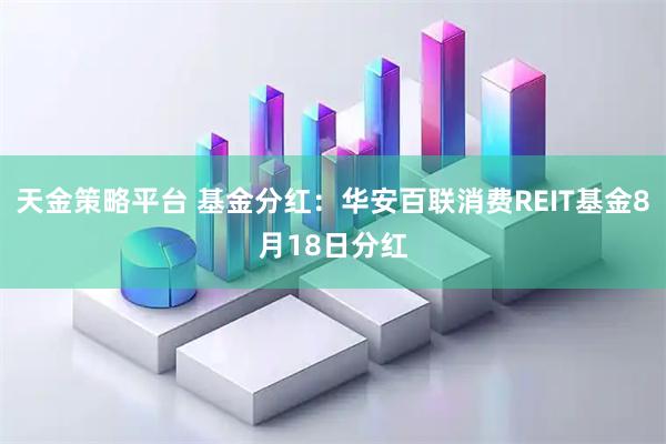 天金策略平台 基金分红:华安百联消费REIT基金8月18日分红