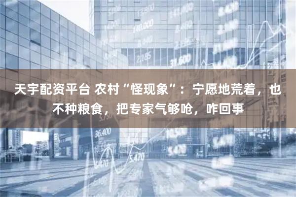 天宇配资平台 农村“怪现象”：宁愿地荒着，也不种粮食，把专家气够呛，咋回事